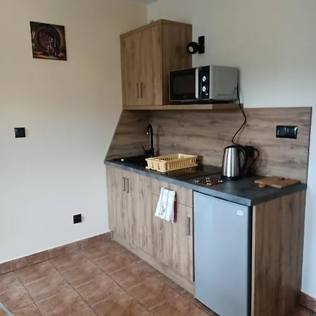 Ferienwohnung Wynajem U Patryka Poronin Exterior foto