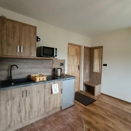 Ferienwohnung Wynajem U Patryka Poronin Exterior foto