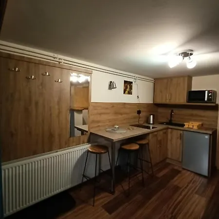 Ferienwohnung Wynajem U Patryka Poronin Exterior foto