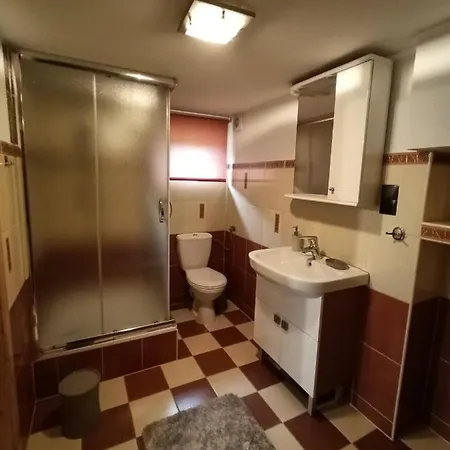 Ferienwohnung Wynajem U Patryka Poronin Exterior foto