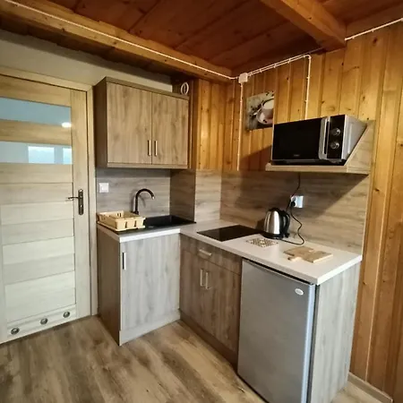 Ferienwohnung Wynajem U Patryka Poronin Exterior foto