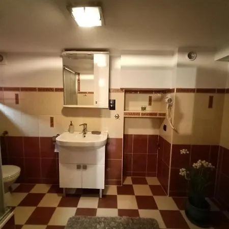 Ferienwohnung Wynajem U Patryka Poronin Exterior foto